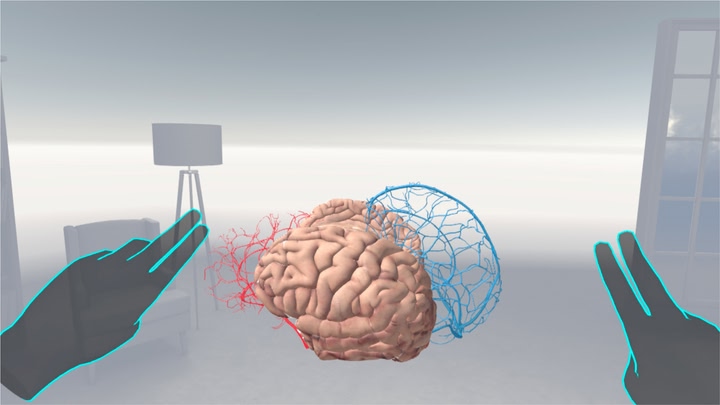 Brain VR