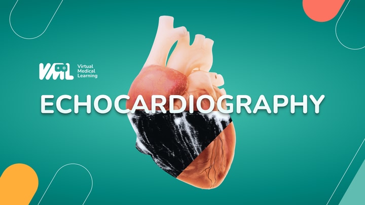 Echocardiography VR - VML
