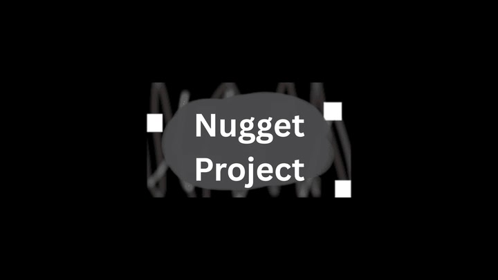Nugget Projectㅤ