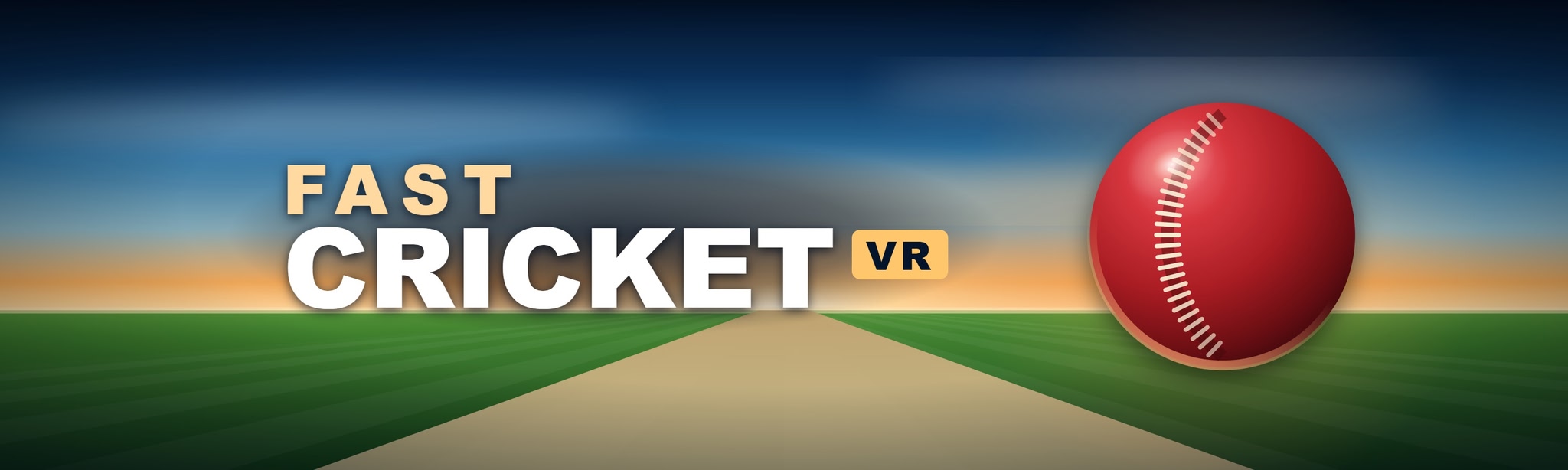 Fast Cricket VR