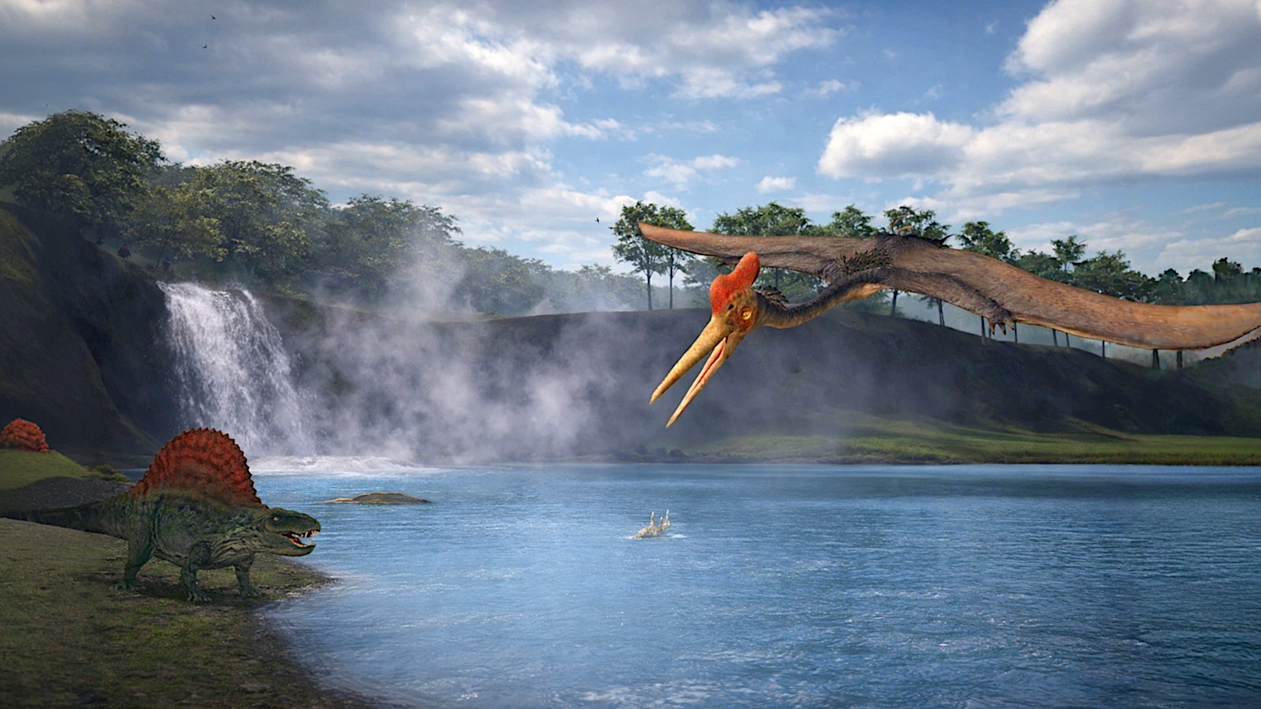 {"height":1440,"type":"image","width":2560}