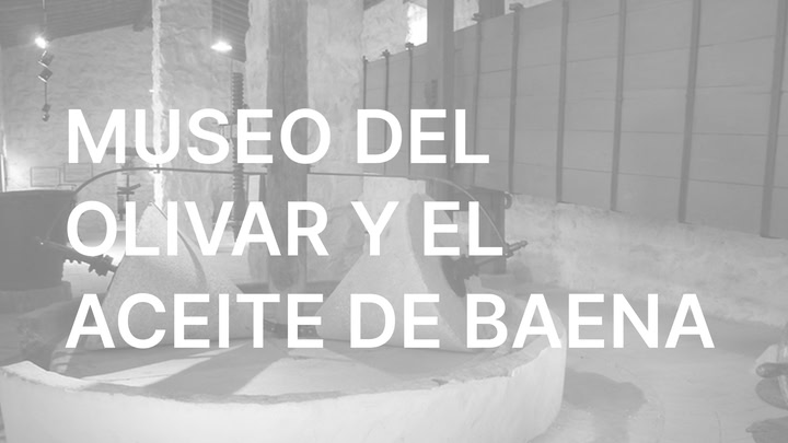 Baena Olive Grove and Oil Museum VR