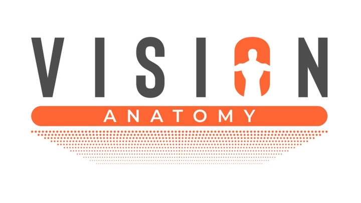 Vision Anatomy