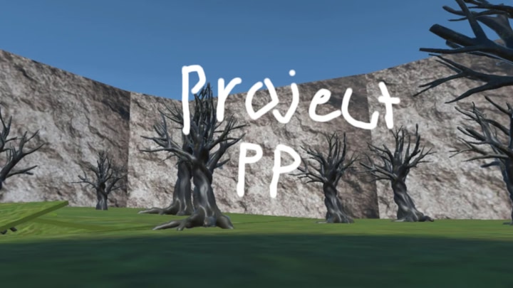 Project PP