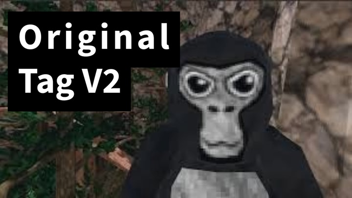 Original Tag V2