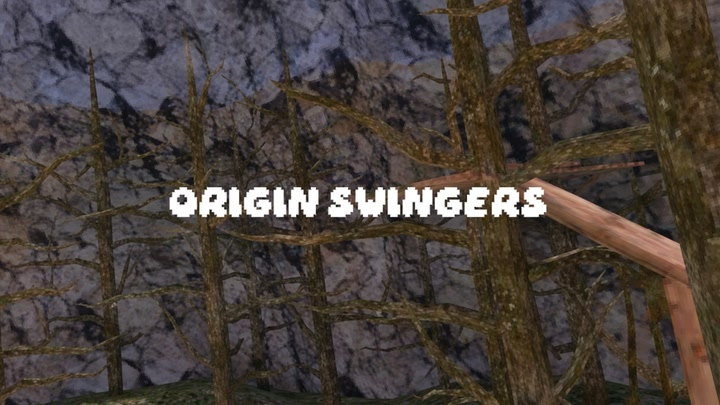 Origin Swingers