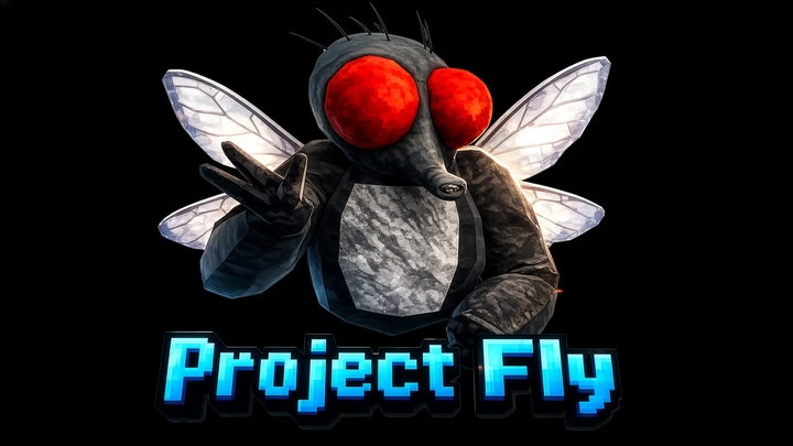 Project Fly
