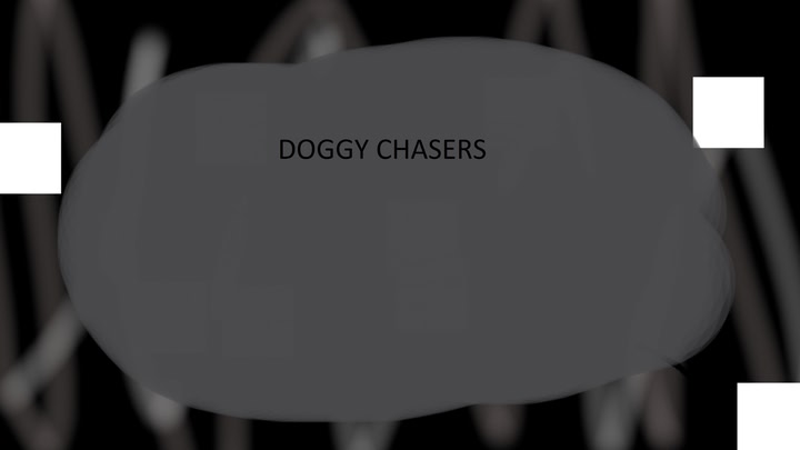 doggy chasers