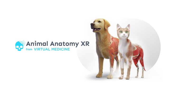Animal Anatomy XR