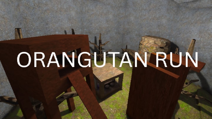 Orangutan Run