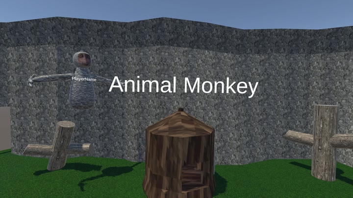 Animal Monkey