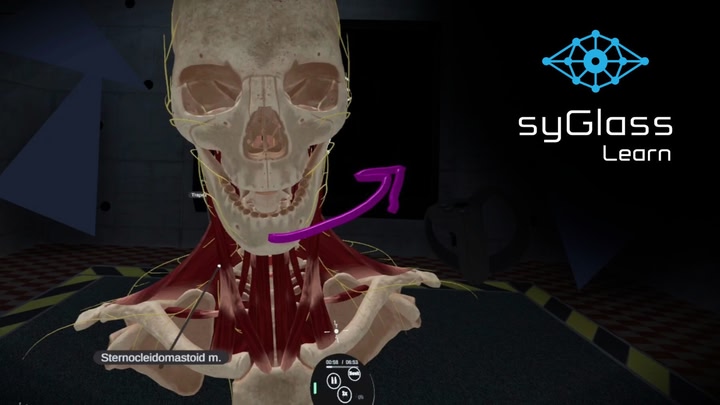 syGlass Learn