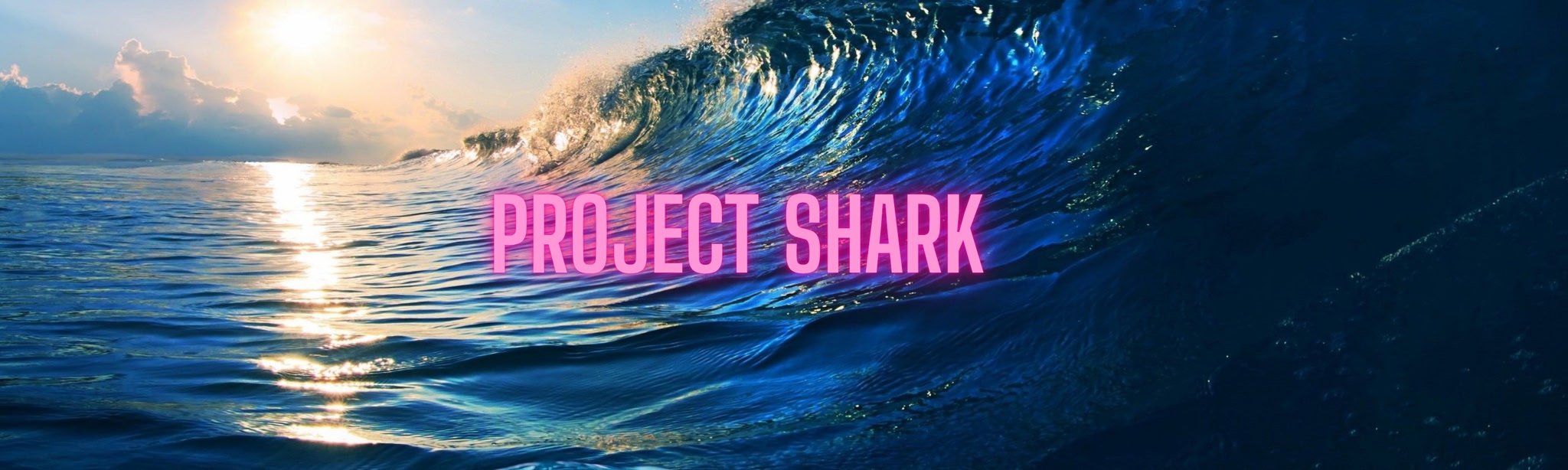 Project Shark