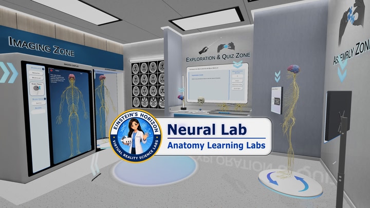 Anatomy Learning Labs: Neural Lab