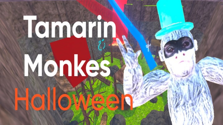 Tamarin Monkes