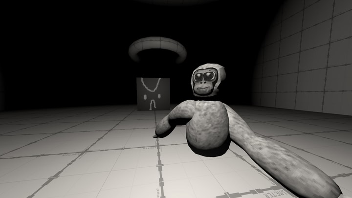Stolen Diarrhea Monkeys VR