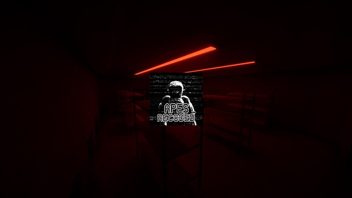 Apes Recoded