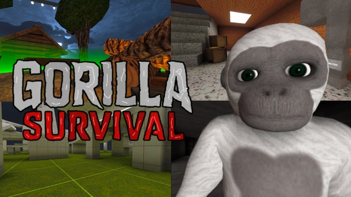 Gorilla Survival