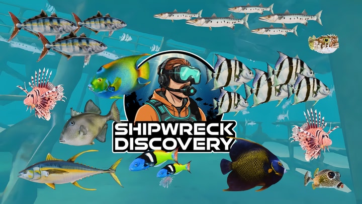Shipwreck Discovery