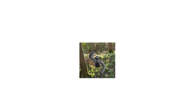 Monkey Crimp