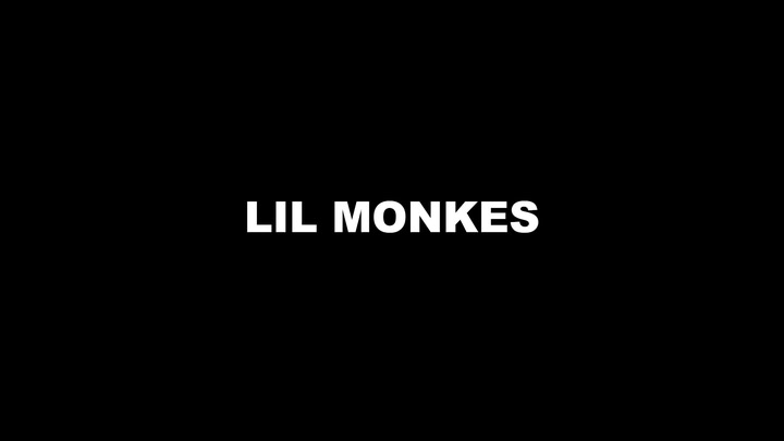 Lil Monkes