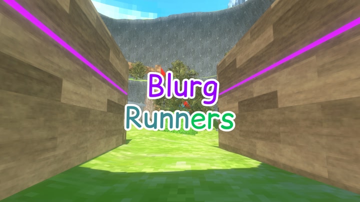 Blurg Runners
