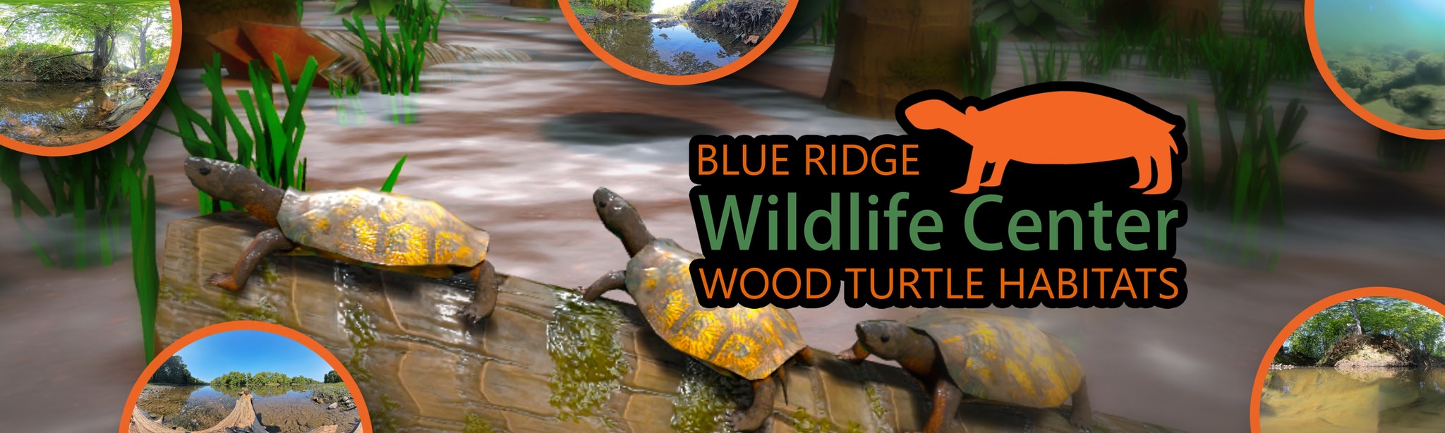 BRWC: Wood Turtle Habitats