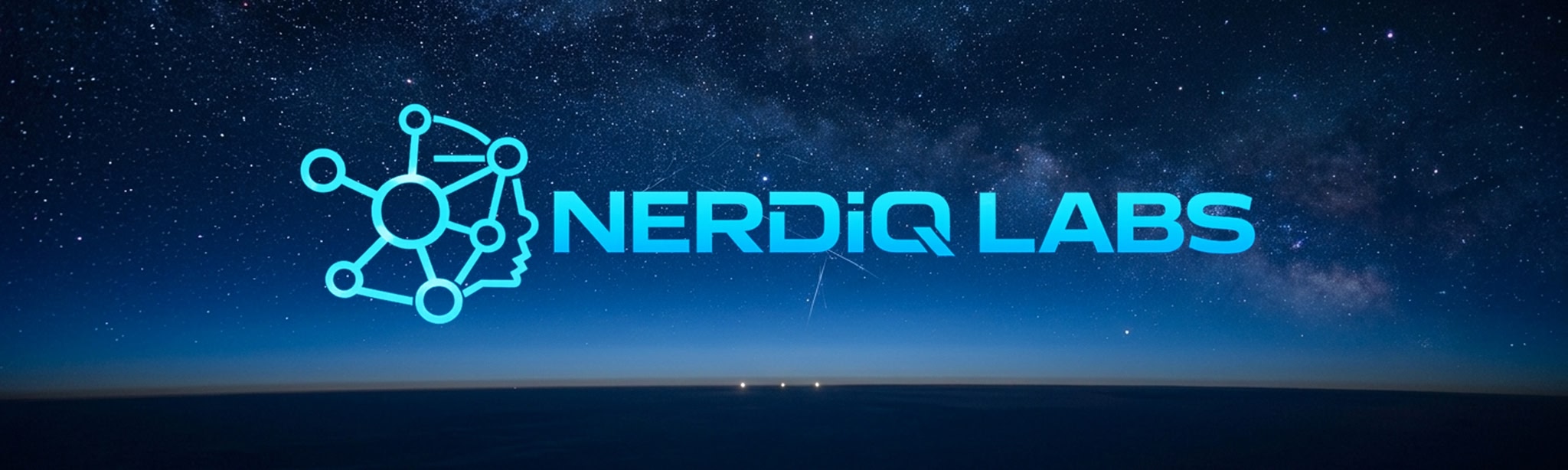 NERDiQ LABS