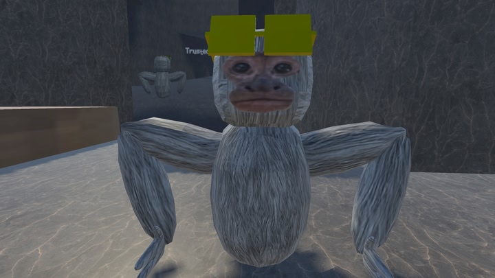 Spider Monkes
