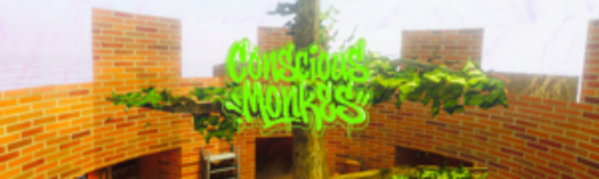 Conscious Monkes
