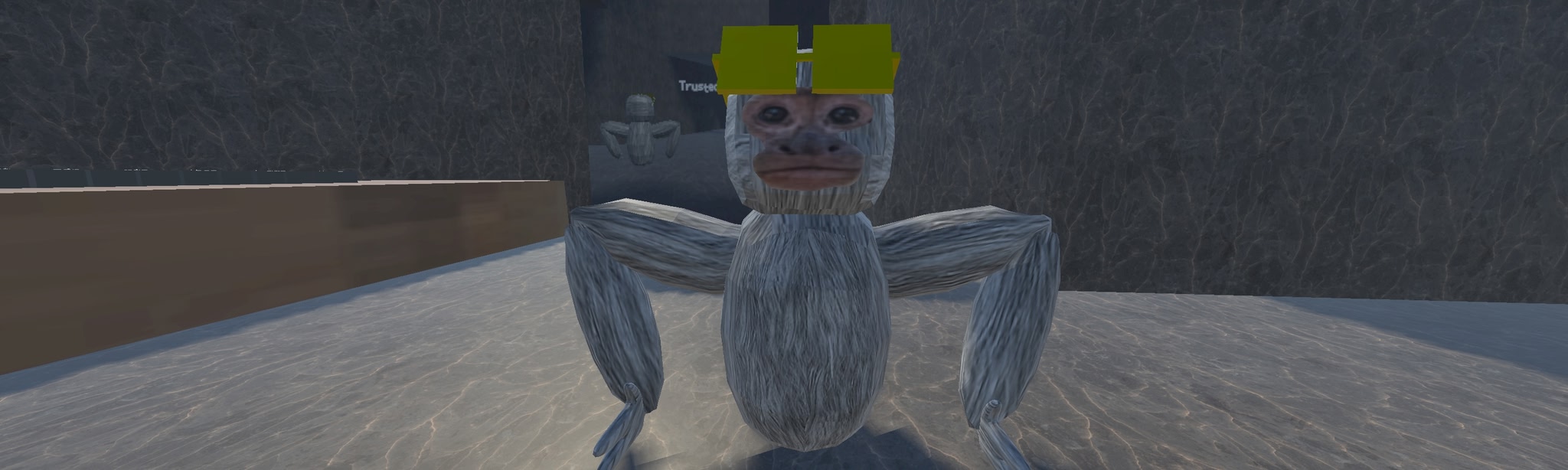 Spider Monkes