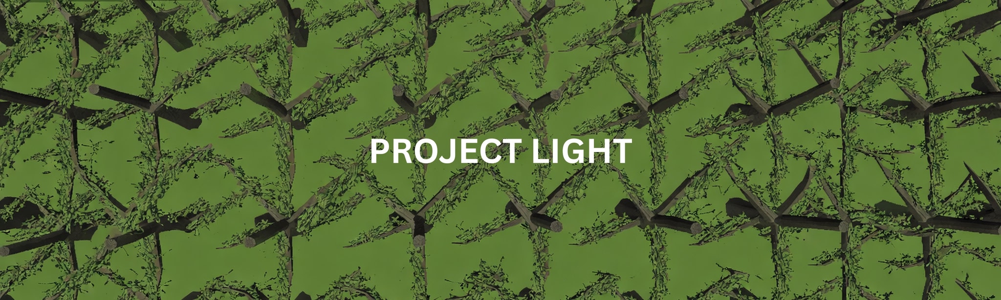 Project Light