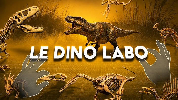 Le Dino Labo