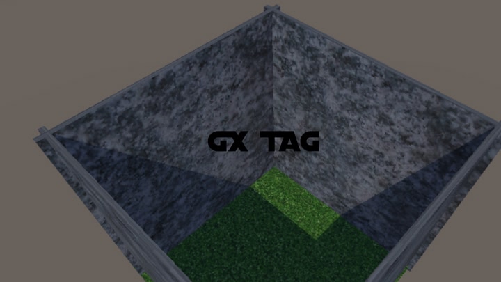 GX Tag