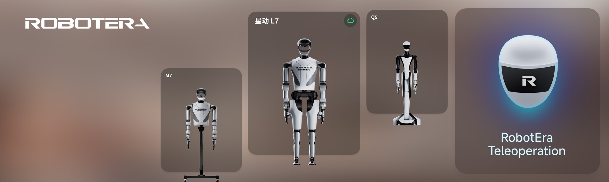 RobotEra Teleoperation