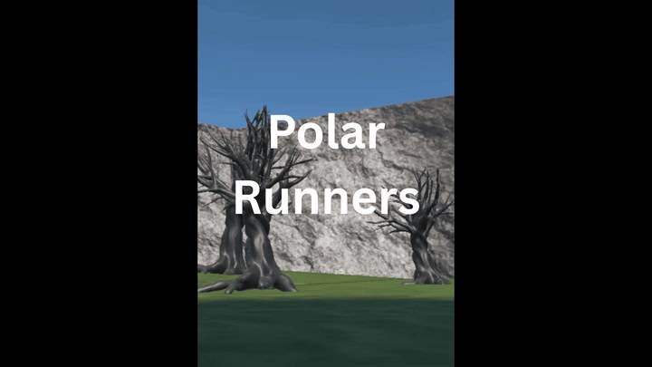 Polar runners