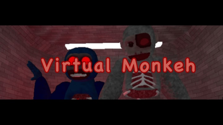 Virtual Monkeh VR