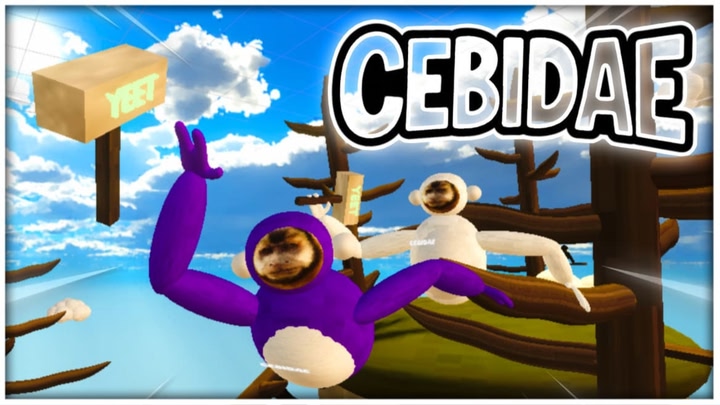 Cebidae