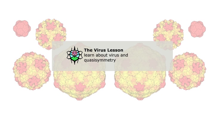 The Virus Lesson