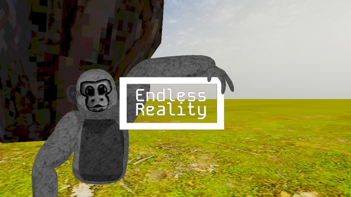 Endless Reality