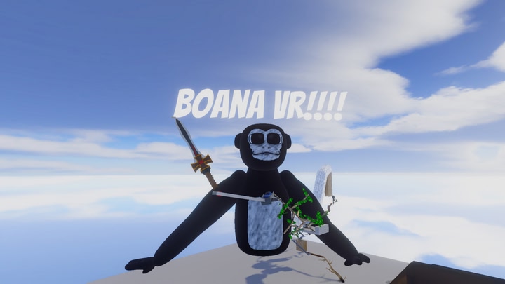 Boana VR