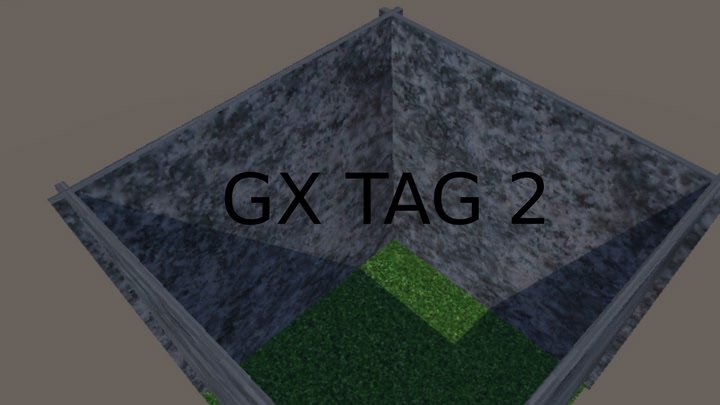 GX TAG2