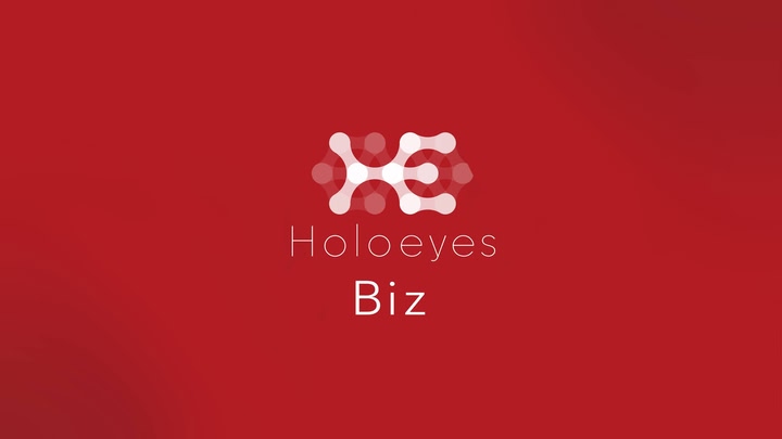Holoeyes Biz