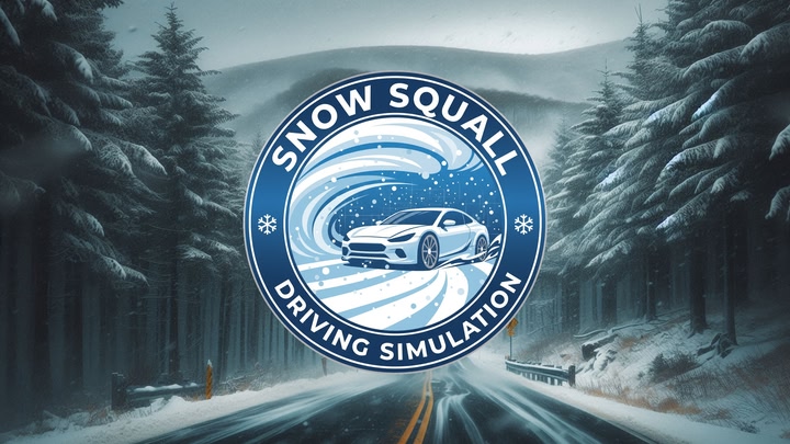 Snow Squall Driving Simulation