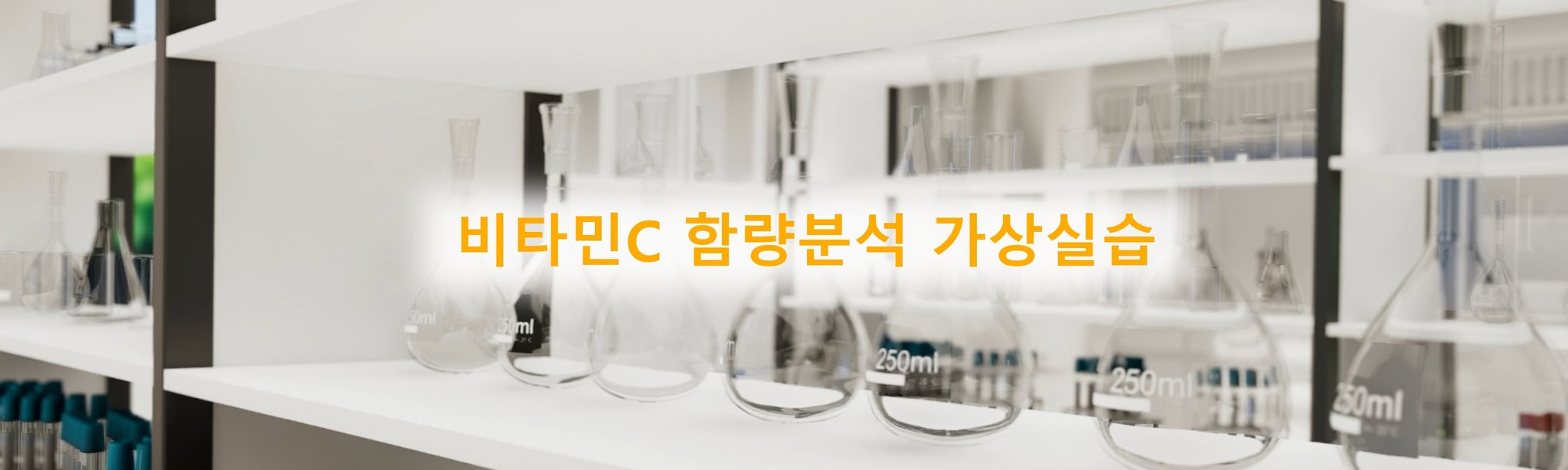 비타민C 함량실험