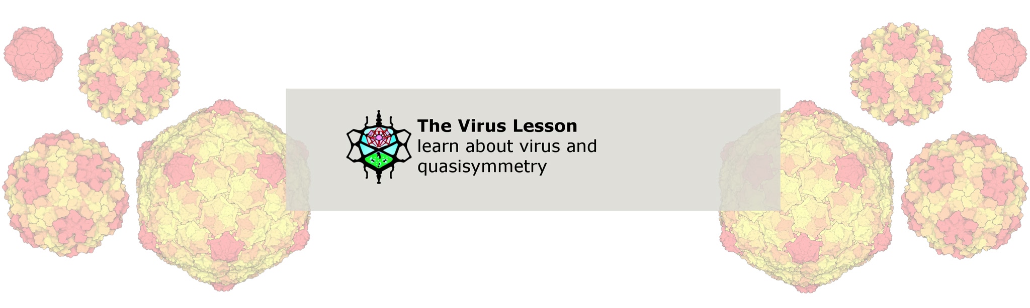 The Virus Lesson