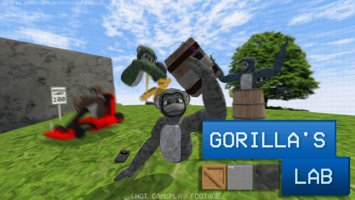 Gorillas-Lab