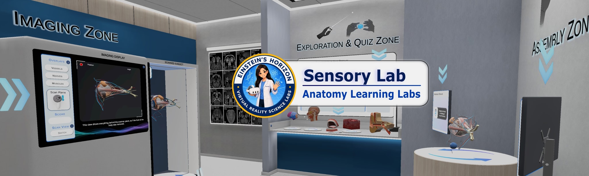 Anatomy Learning Labs: Sensory Lab