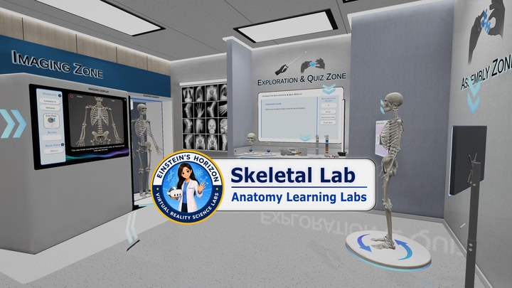 Anatomy Learning Labs: Skeletal Lab
