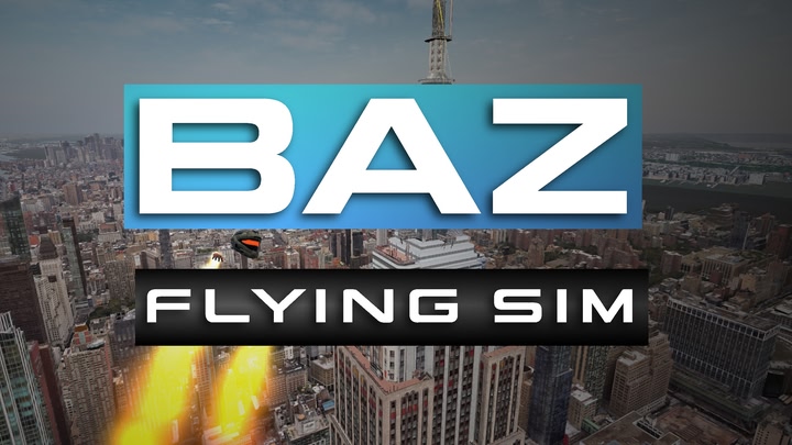 Baz Flying Sim